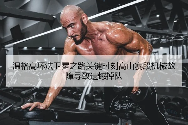 温格高环法卫冕之路关键时刻高山赛段机械故障导致遗憾掉队